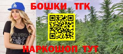 spice Кинель
