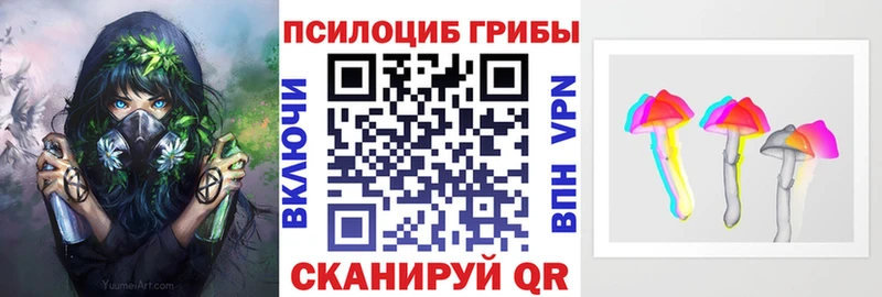 Галлюциногенные грибы мицелий  что такое   Оренбург 